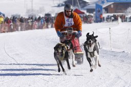 Lenk 2013